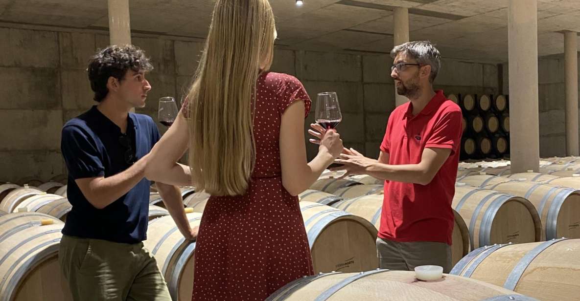 From Valencia: Requena Wine Tour With Tastings - Photo Stop and Tour in Requena