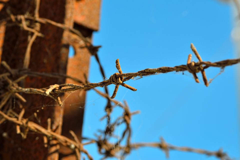 From Warsaw: Auschwitz-Birkenau Tour by Car - Important Information