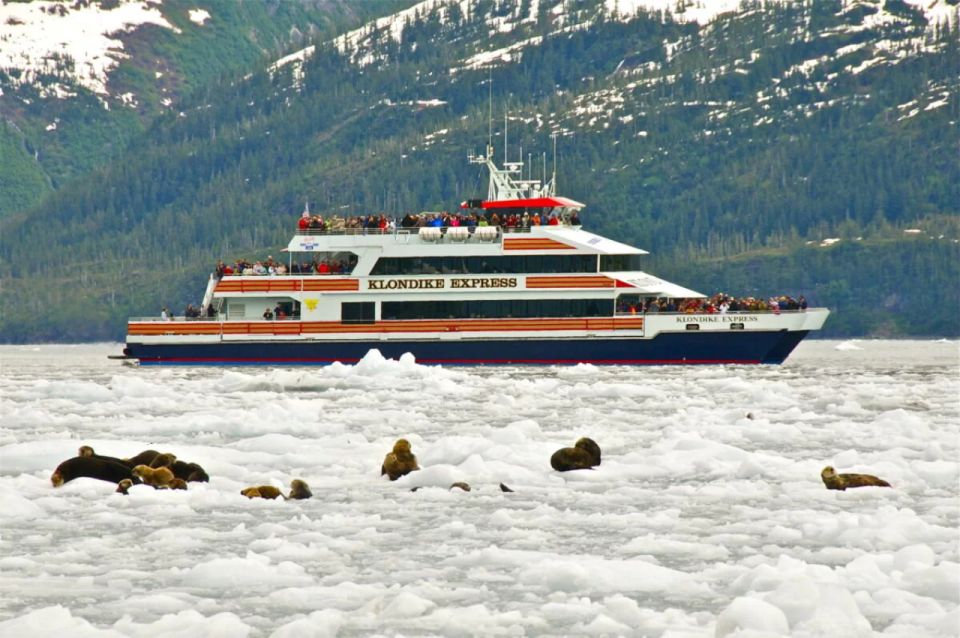 From Whittier/Anchorage: Prince William Sound Glacier Cruise - Duration and Schedule