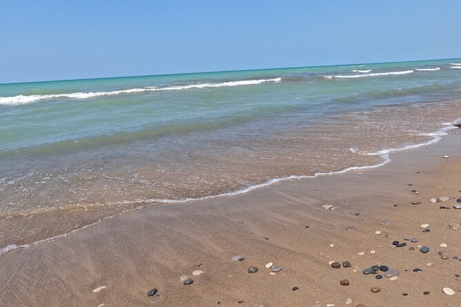 Full-Day Beach Day at Grand Bend - Accessibility and Transportation