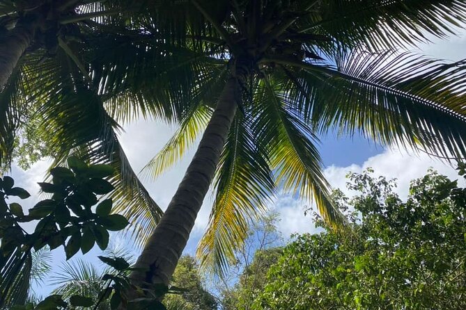 Full Day Eastern Island Tour - Health and Accessibility