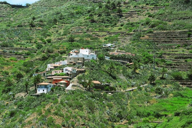 Full-day Guided Bus Tour to Mt. Teide and the Towns of Icod, Garachico, Masca - Pickup Details