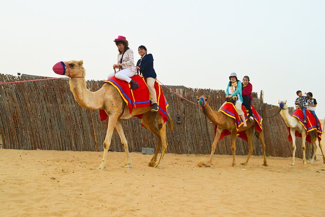 Full-Day Guided Red Dunes Desert Tour in Dubai With Camel Ride - Sandboarding Adventure