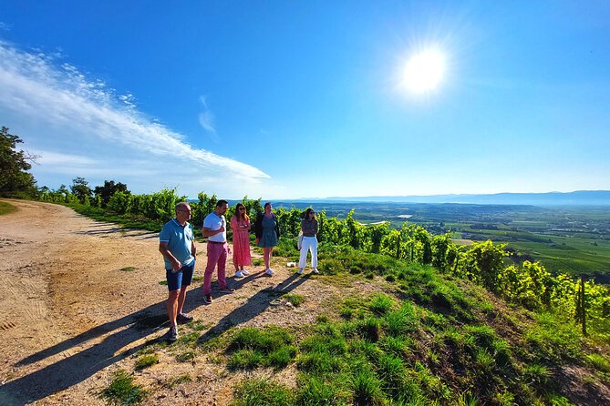 Full Day Guided Wine Tour With Tasting and Lunch - Meeting and Pickup