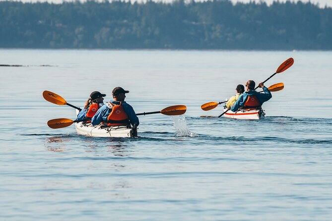 Full Day Kayaking Adventure on Vancouver Island - What to Expect During the Tour