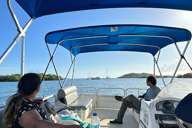 Full Day Ponce, Yauco, Caracoles Cay & La Parguera Bio Bay Tour - Guest Experiences and Feedback