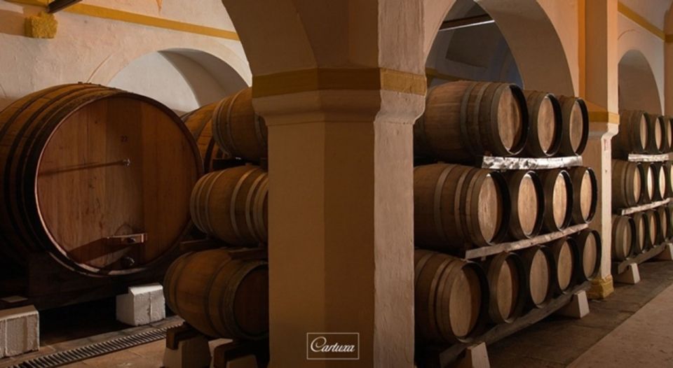 Full-Day Private Tour in Évora With Winery Tour From Lisbon - Discover Évoras Cultural Heritage