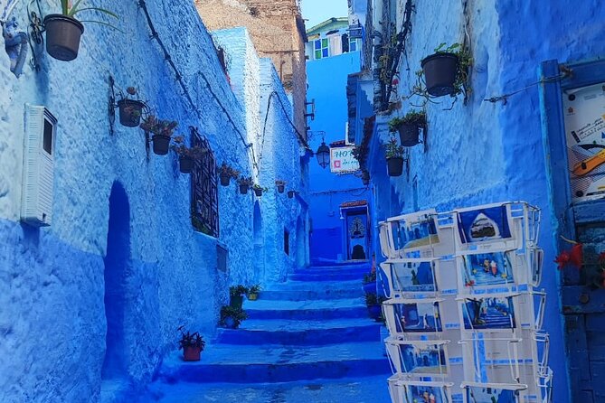 Full Day Private Tour to Blue City Chefchaouen From Tanger - Customer Experience