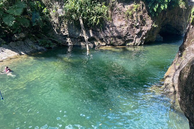 Full-Day Private Tour to Tinajas Waterfalls in El Yunque - Traveler Reviews and Feedback