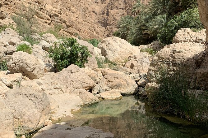 Full Day Private Tour to Wadi Shab and Bimmah Sinkhole - Tour Participation and Conditions