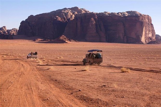 Full-Day Private Trip To Petra, Wadi Rum - Traveler Reviews