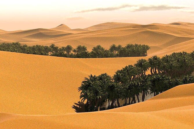 Full-Day Private Wahiba Sands Desert and Wadi Bani Khalid Tour - Experiencing the Wahiba Sands Desert