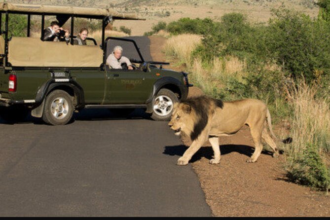 Full Day Safari Tour of Pilanesberg National Park, Open Jeep Experience - Opportunity to See Wildlife