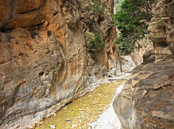 Full-Day Samaria Gorge Chania Guided Tour - Pickup and Meeting Point