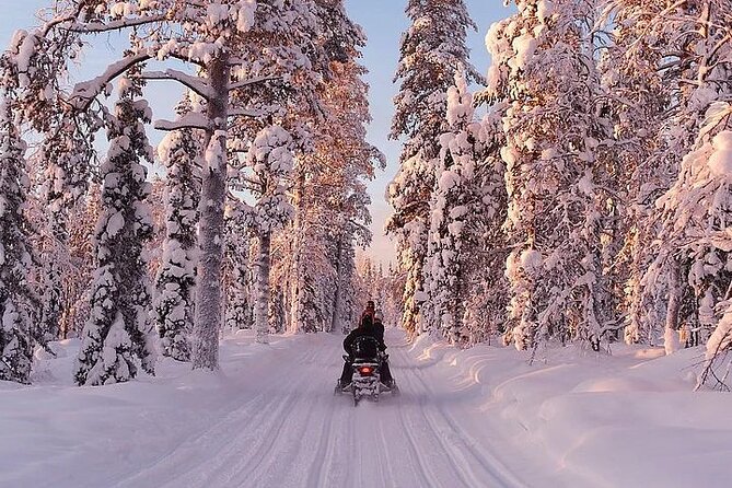 Full Day Snowmobile Safari - Indulging in a Campfire Feast