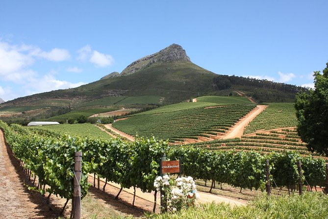 Full-Day Stellenbosch, Franschhoek and Paarl Wine Tasting Tour From Cape Town - Franschhoek Wine and Cheese Tasting