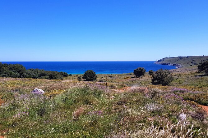 Full Day Tour of Otranto City and Its Amazing Seacoast From Lecce - Suitability