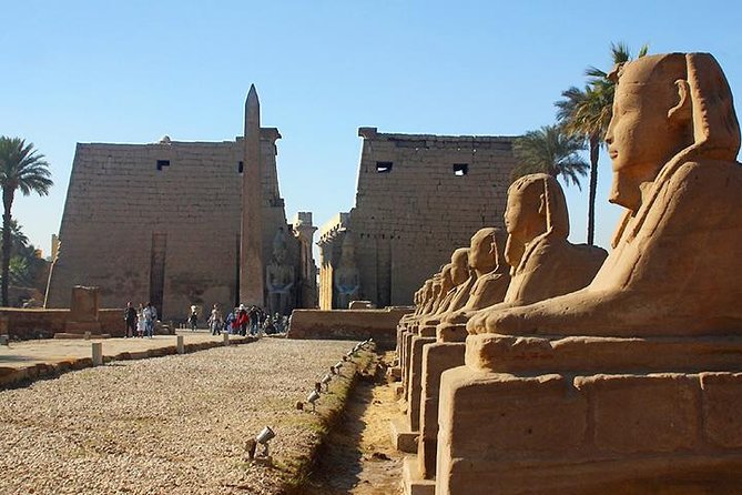 Full Day Tour to Luxor (East & West Bank) - Confirmation and Accessibility