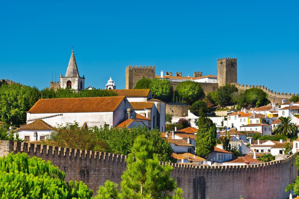 Full Day Tour - Transfer to Porto From Lisbon With Stops - Transportation and Amenities