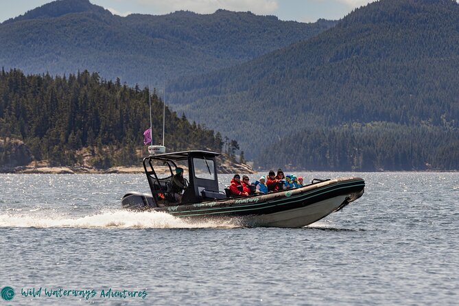 Full Day Whale Watching Campbell River - Inclusions and Amenities