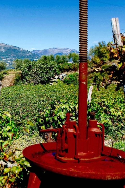 Full-Day Wine Tour in Bellet & Saint-Paul De Vence From Nice - Winery Visits in Bellet