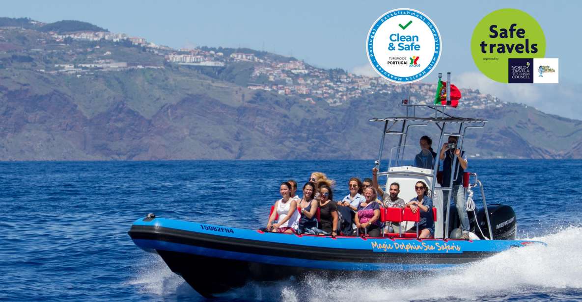 Funchal: Dolphin and Whale Watching Cruise - Wildlife Sightings and Education