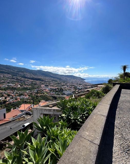 Funchal Historical Tuk-Tuk Guided Tour - Pickup and Drop-off Information