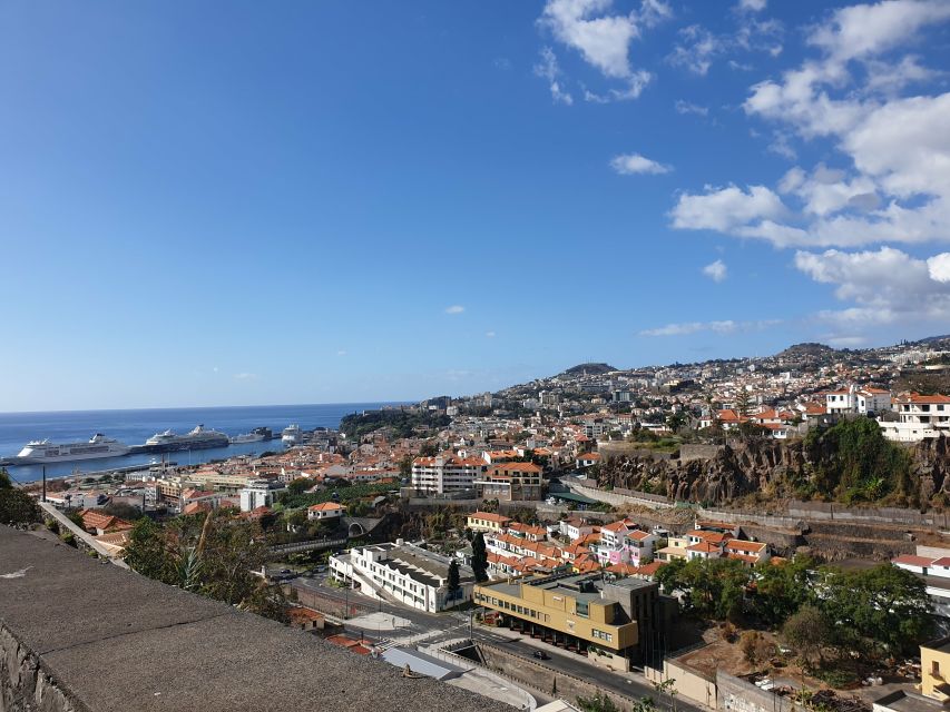 Funchal: Madeira Botanical Garden Private Tuk-Tuk Tour - Highlights of the Tour