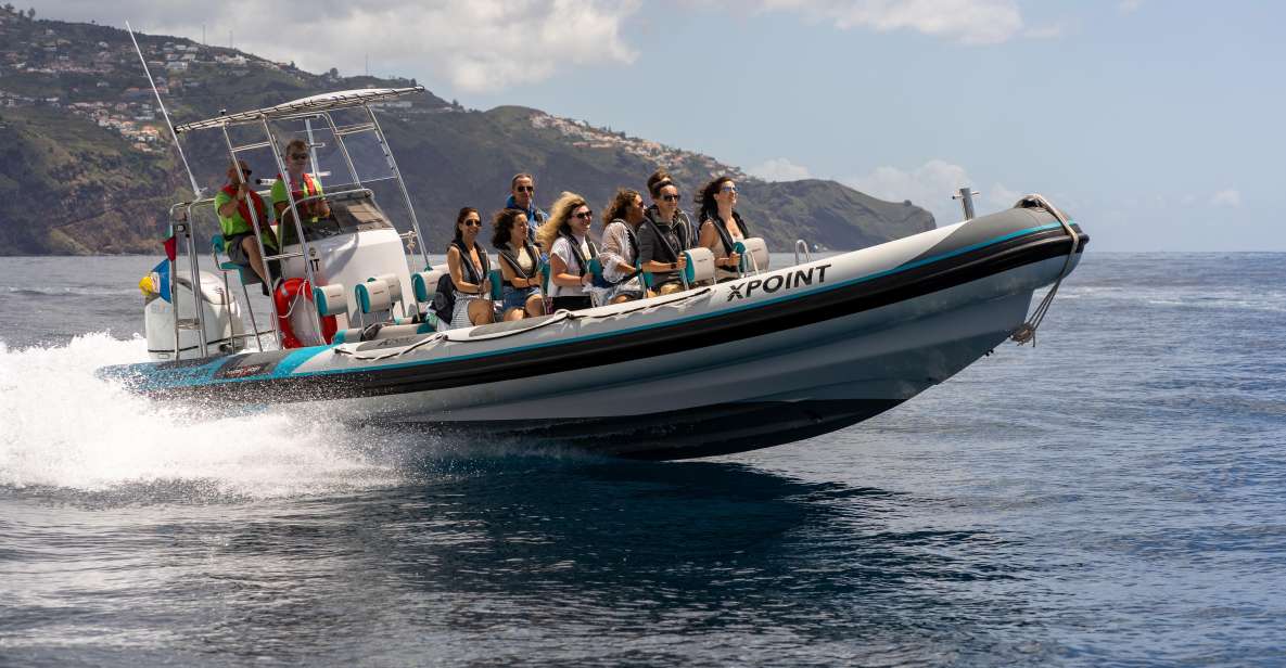 Funchal: Swim With Dolphins / Dolphin&Whale Watching by RIB - Inclusions