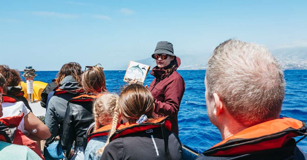 Funchal: Whale and Dolphin Watching Speed Boat Tour - Meeting and Location Details