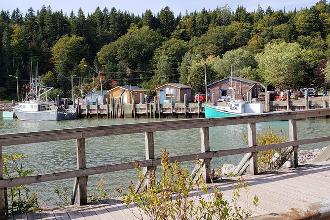 Fundy Coast to Fundy Shore Tour - In-Depth Commentary From the Guide