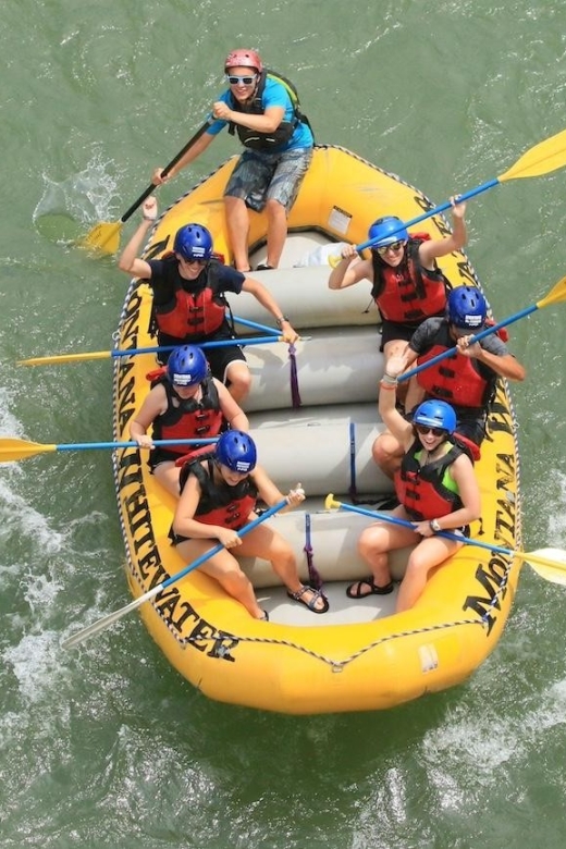 Gardiner: Half-Day Whitewater Raft Trip on the Yellowstone - Rafting Experience Highlights