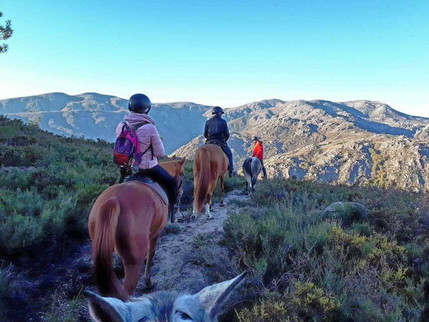 Gerês Braga: Horseback Ride in Peneda-Gerês National Park - Village of Campo De Gerês