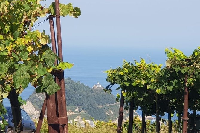 Getaria Txakoli Wine Tour With Hotel Pick-Up From San Sebastian - Booking and Cancellation