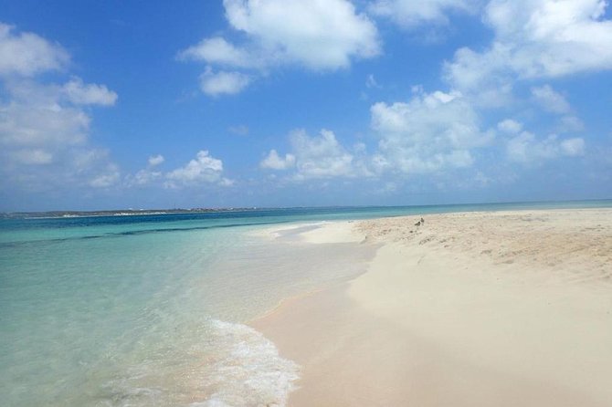 Gibbs Cay Stingray and Conch Dive Adventure - Group Size and Restrictions