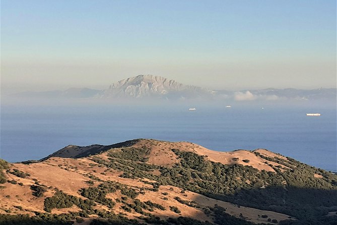 Gibraltar Private Trip From Marbella or Malaga - Visiting the Nature Reserve