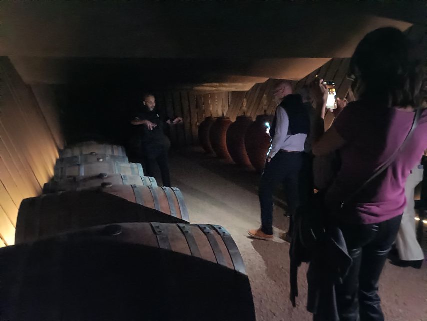 Girona: Local Wineries Tour With Breakfast and Wine Tasting - Visiting Empordàlia and Celler De Vilajuïga