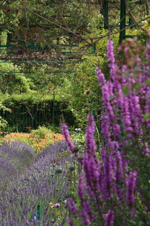 Giverny Private Guided Walking Tour - Discovering Light and Color