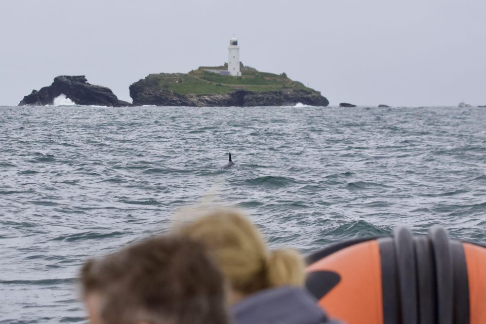 Godrevy to Hells Mouth Boat Trip - Details of the Trip