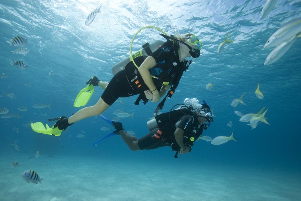 Gran Canaria: Scuba Diving for Beginners - Equipment Provided