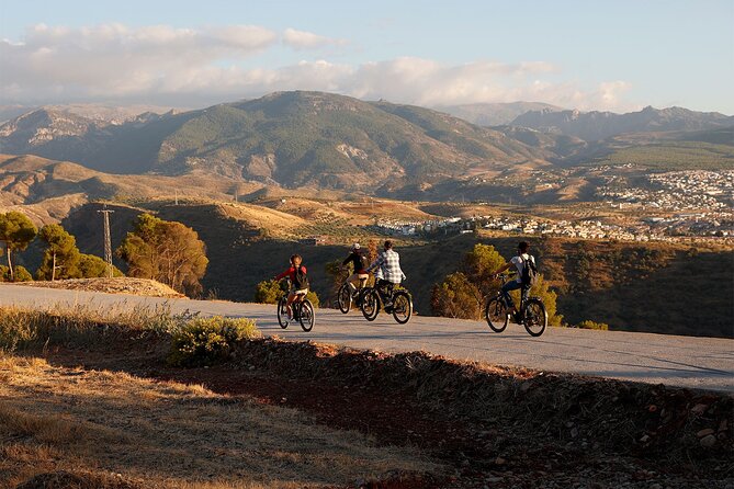 Granada: Alhambra and Sierra Nevada Sunset Views by E-Bike - Group Size and Operator