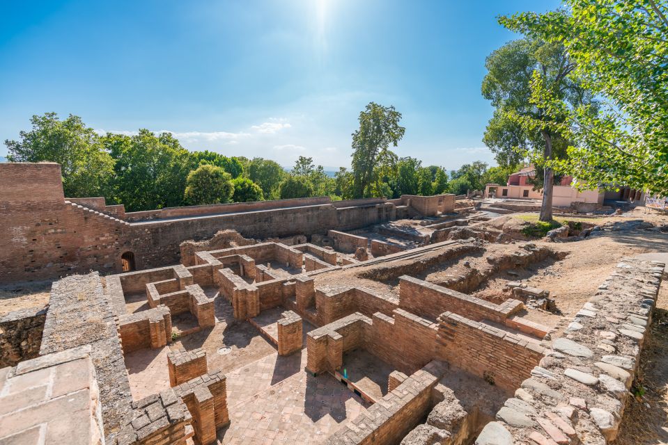 Granada: Alhambra Ticket and Guided Tour With Nasrid Palaces - Tour Options Available