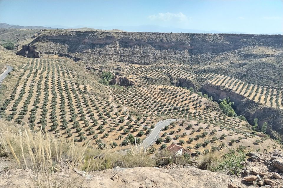 Granada: End of the World Viewpoints 4x4 Tour in the Geopark - Experience Highlights