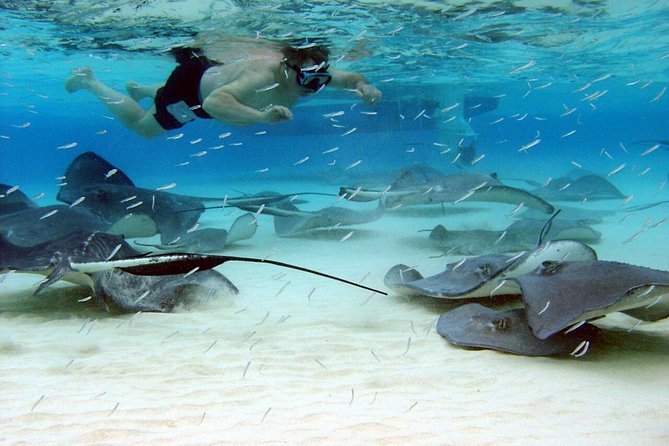 Grand Cayman Cruise: Starfish Point, Stingray City, Coral Garden - Important Notes for Travelers