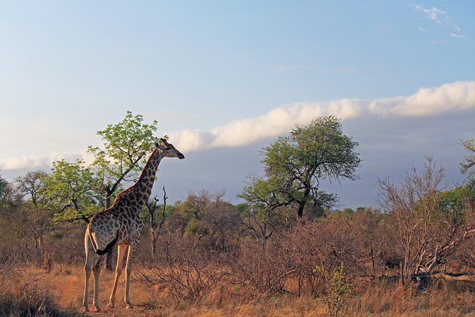 Greater Kruger National Park 4 Day Safari at a Private Game Lodge - Cancellation Policy