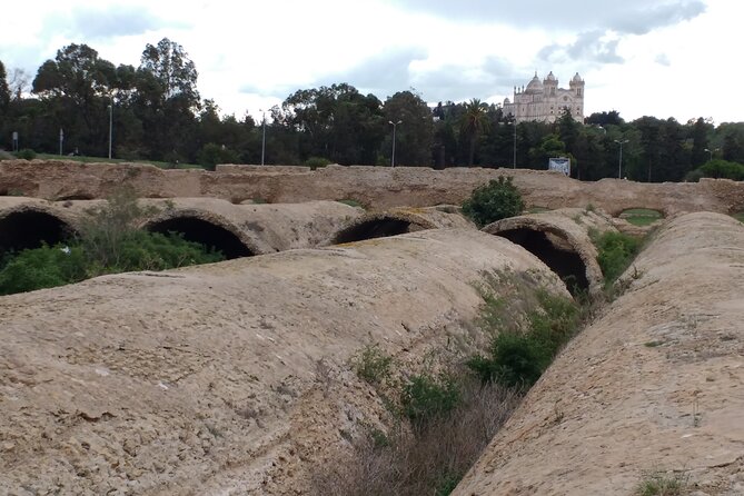 Group Guided Bike Tour of Carthage Archeological Site in Tunisia - Tour Inclusions