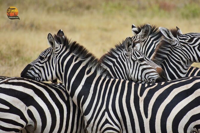 Group Safari 7 Days in Tanzanias Main Parks - Cancellation Policy