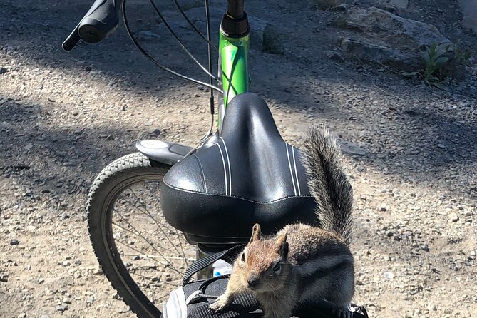 Guided Bike Tour on Historical Kettle Valley Railway at Myra Canyon & Wine Tour - Pickup and Start Time Details