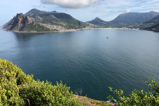 Guided Day Tour to Cape Point, Penguins and Wine Tasting - Hout Bay Exploration