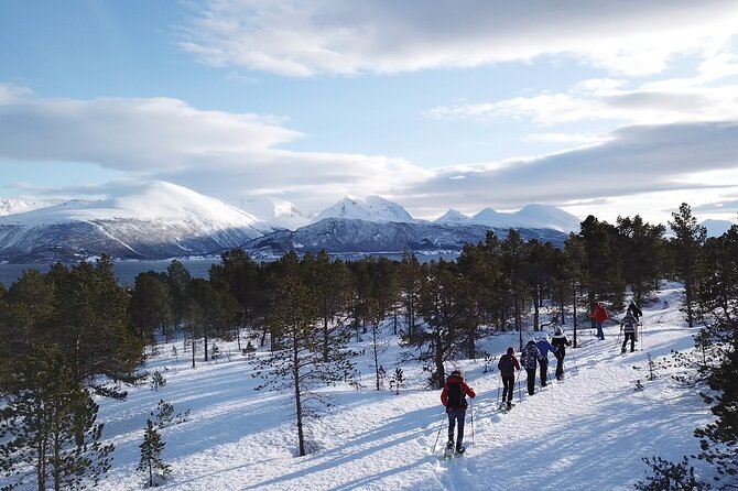 Guided Easy Snowshoeing With a Visit to Local Café - Health and Accessibility Requirements